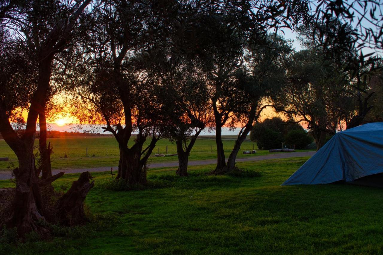 Big4 Cape Jervis Accommodation & Caravan Park Bagian luar foto
